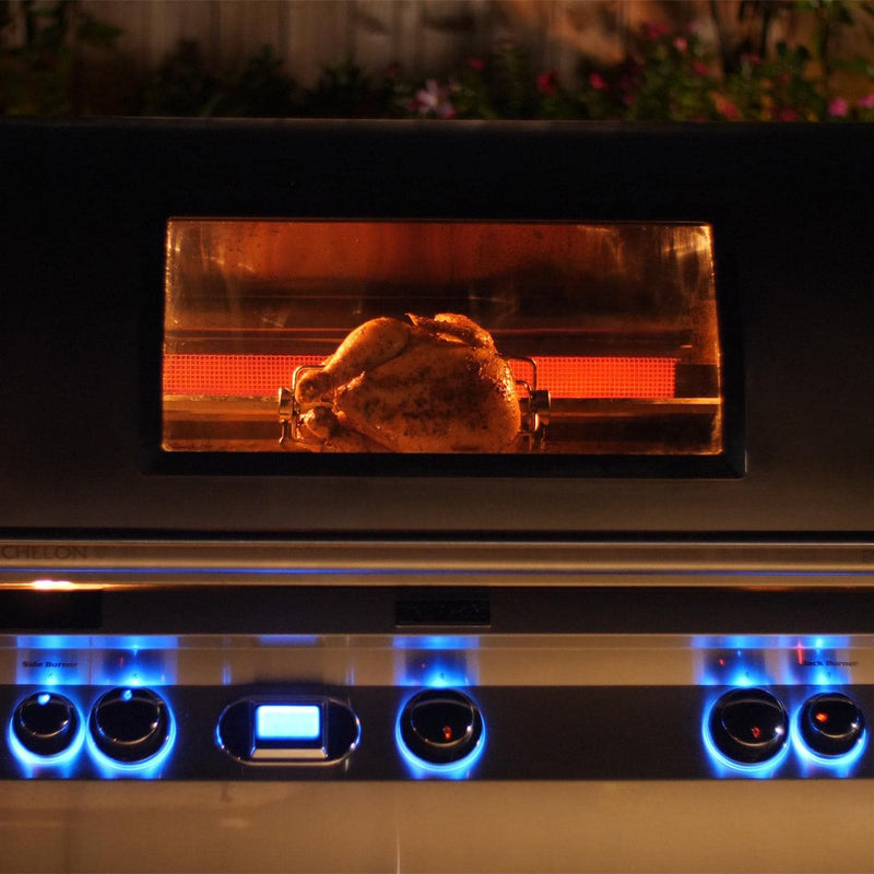 Fire Magic Echelon Diamond 48-Inch Gas Grill with Magic View Window & Rotisserie - E1060i-8E1P-W Built-in Gas Grill Fire Magic   